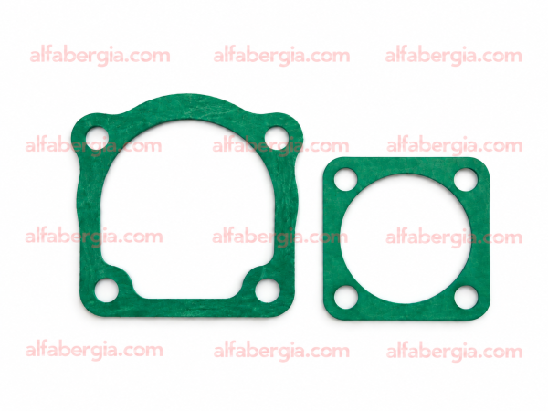 Guarnizioni scatola guida "ZF"