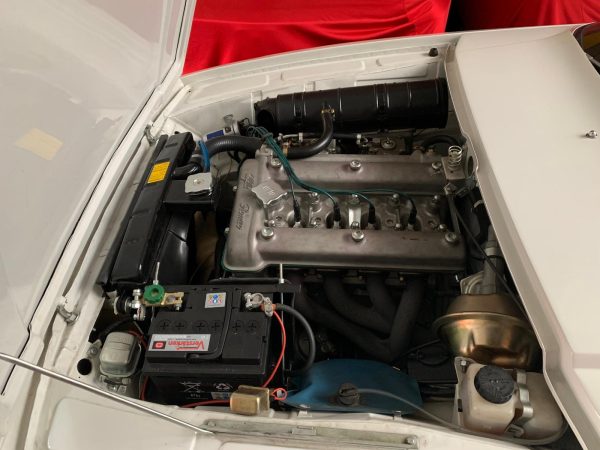motore Alfa Romeo Junior Zagato 1300