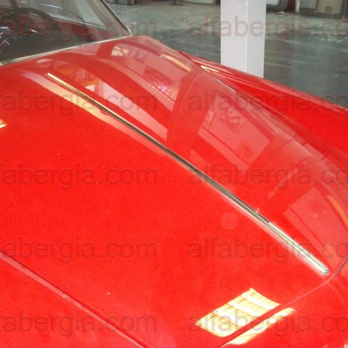 Profilo cofano motore