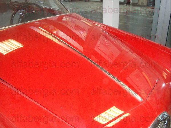 Profilo cofano motore